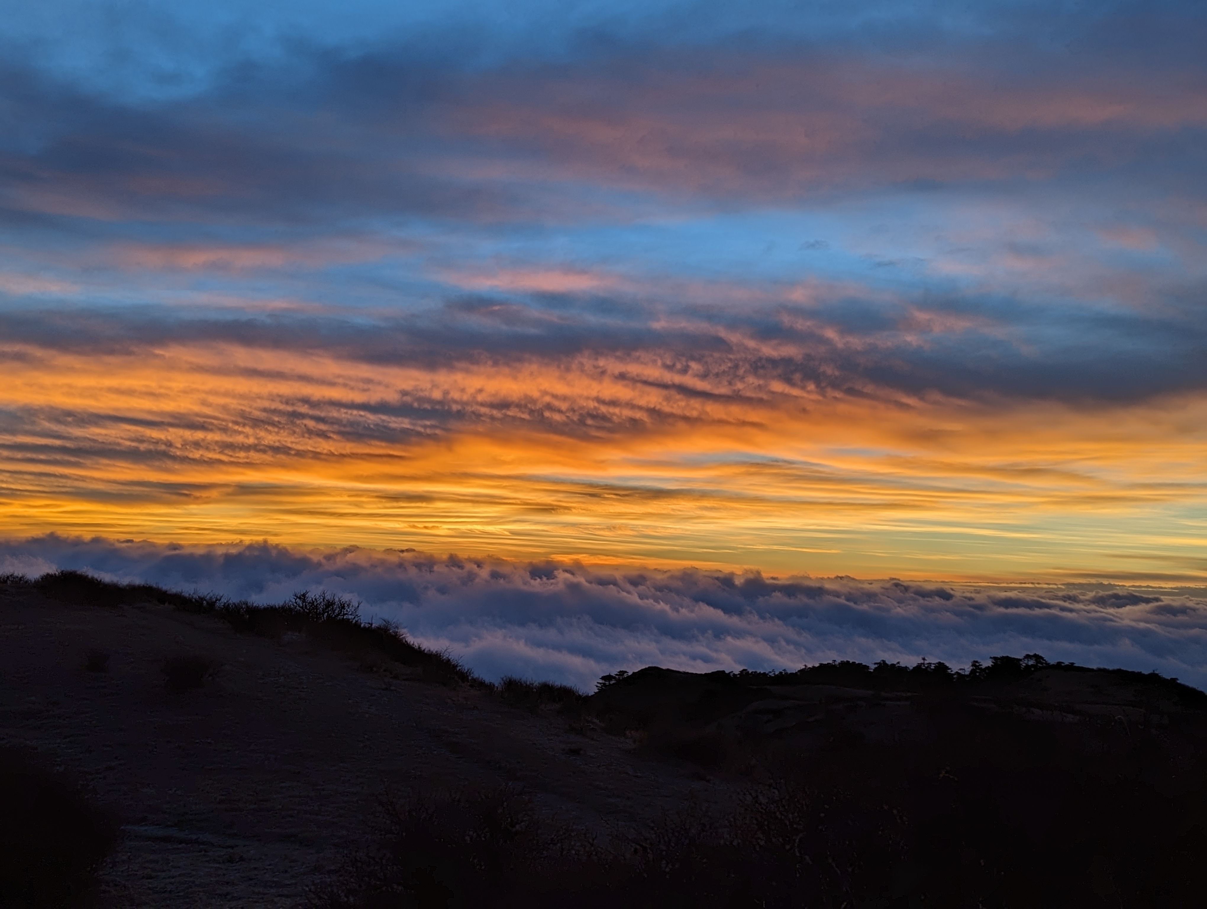 Sunrise
